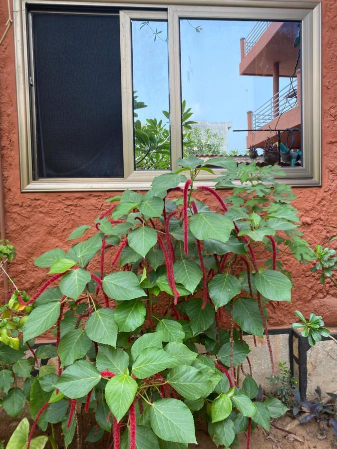 Residences Ouadada Porto-Novo Exterior photo